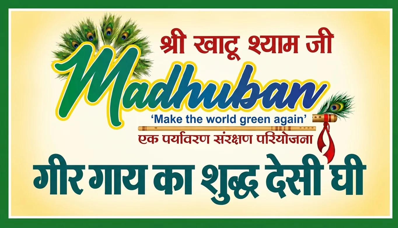 गिर गाय का शुद्ध देसी घी