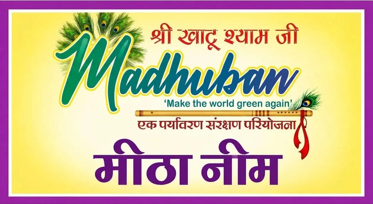 मीठा नीम