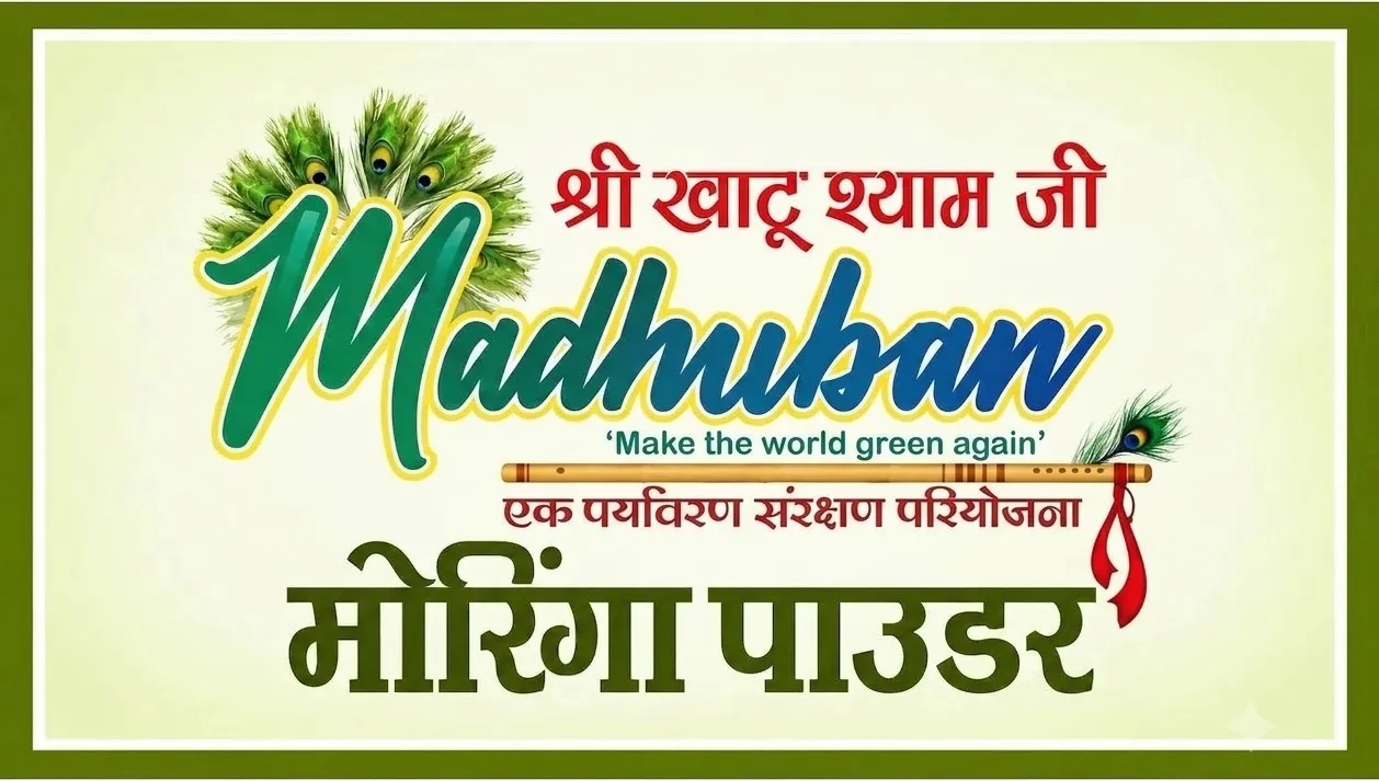 मोरिंगा पाउडर